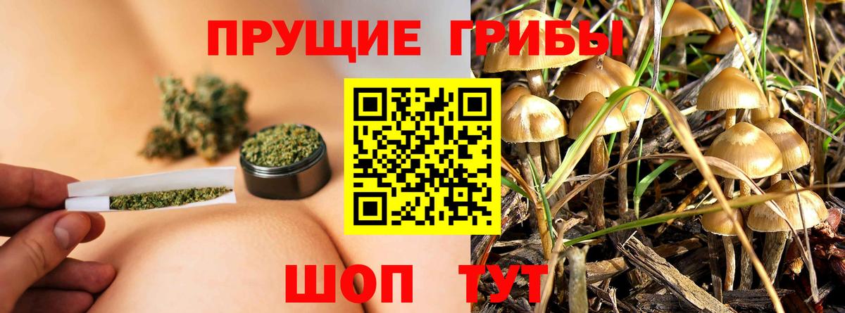 Галлюциногенные грибы ЛСД Северск