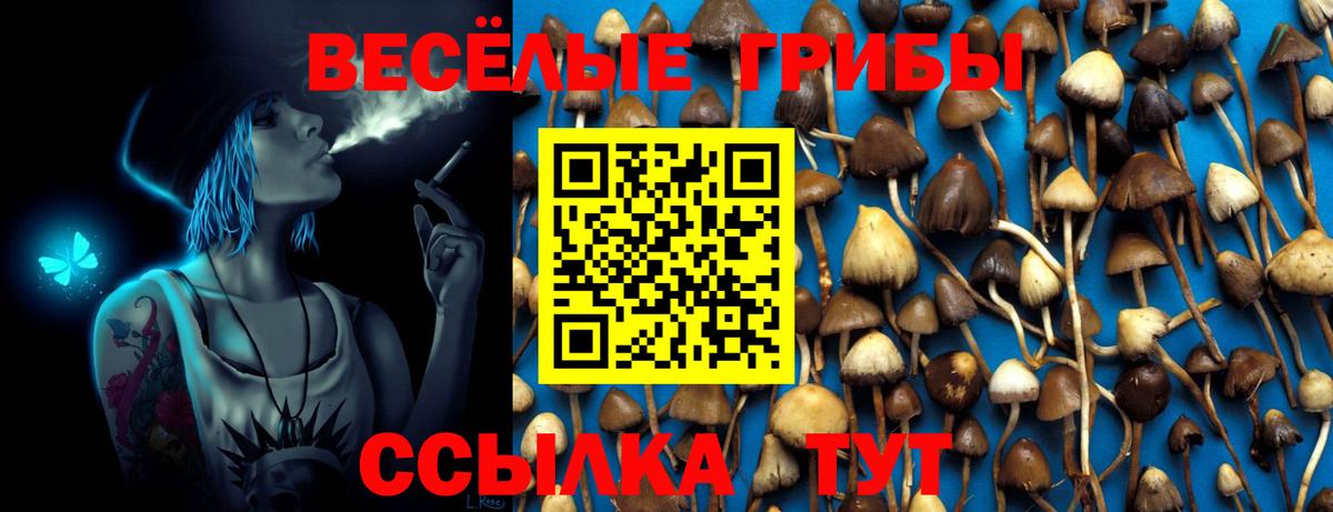 Северск  Галлюциногенные грибы мицелий  Вход с VPN 